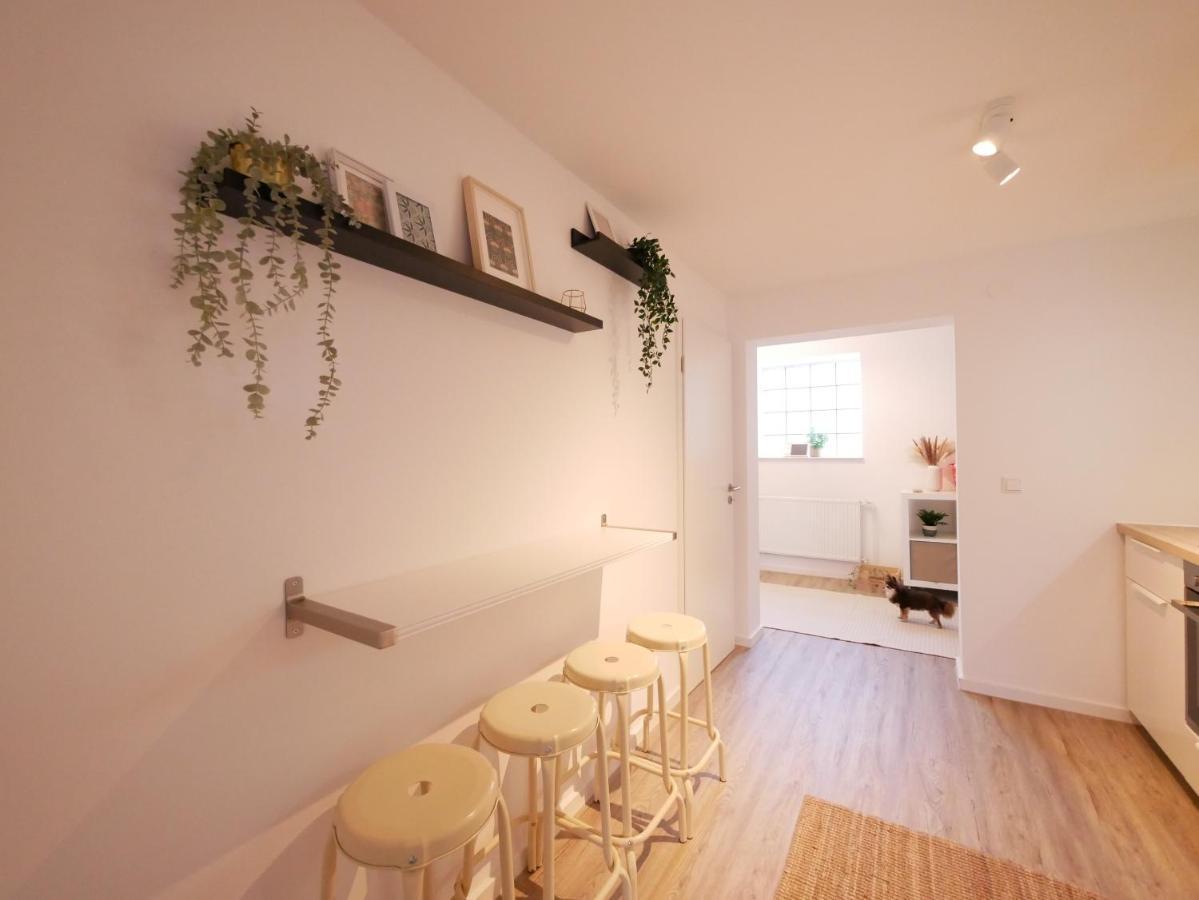 Apartament 75 M2, Zentral, Kueche, Balkon, Parkplatz Osnabrück Zewnętrze zdjęcie